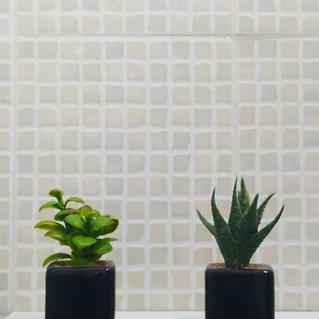 Palma House Apartment